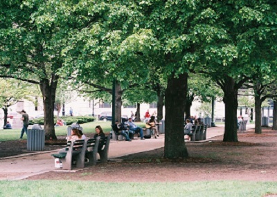People sitting on a bench under the shade of a tree in a park.