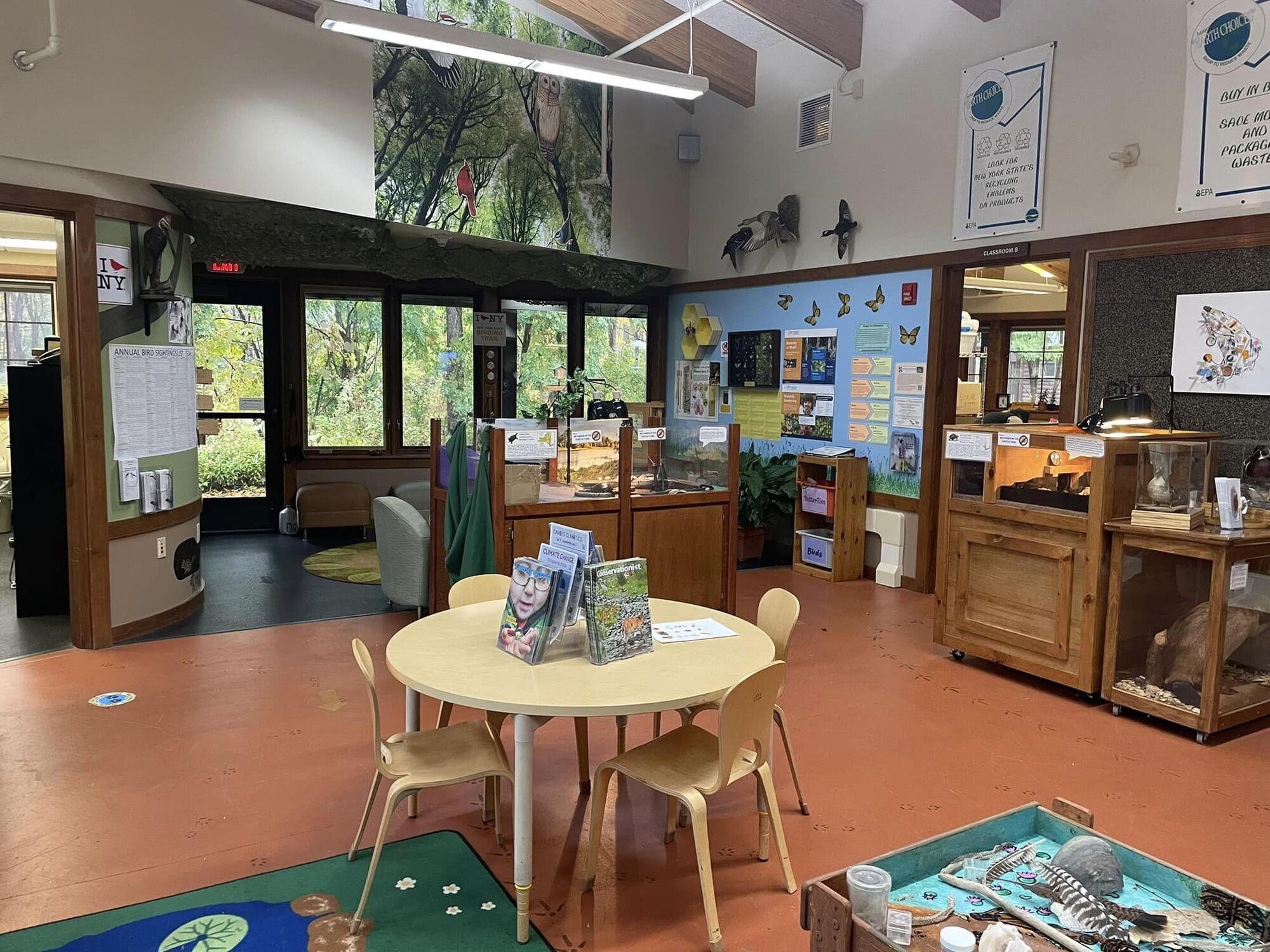 Looking into Reinstein Woods Nature Center