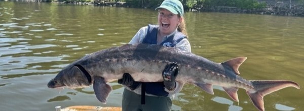 A woman in a boat holds an Atlantic sturgeon.