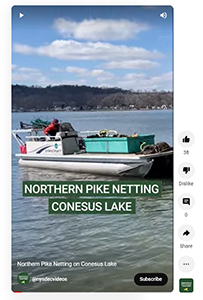 Screenshot of Conesus Lake Pike Netting video