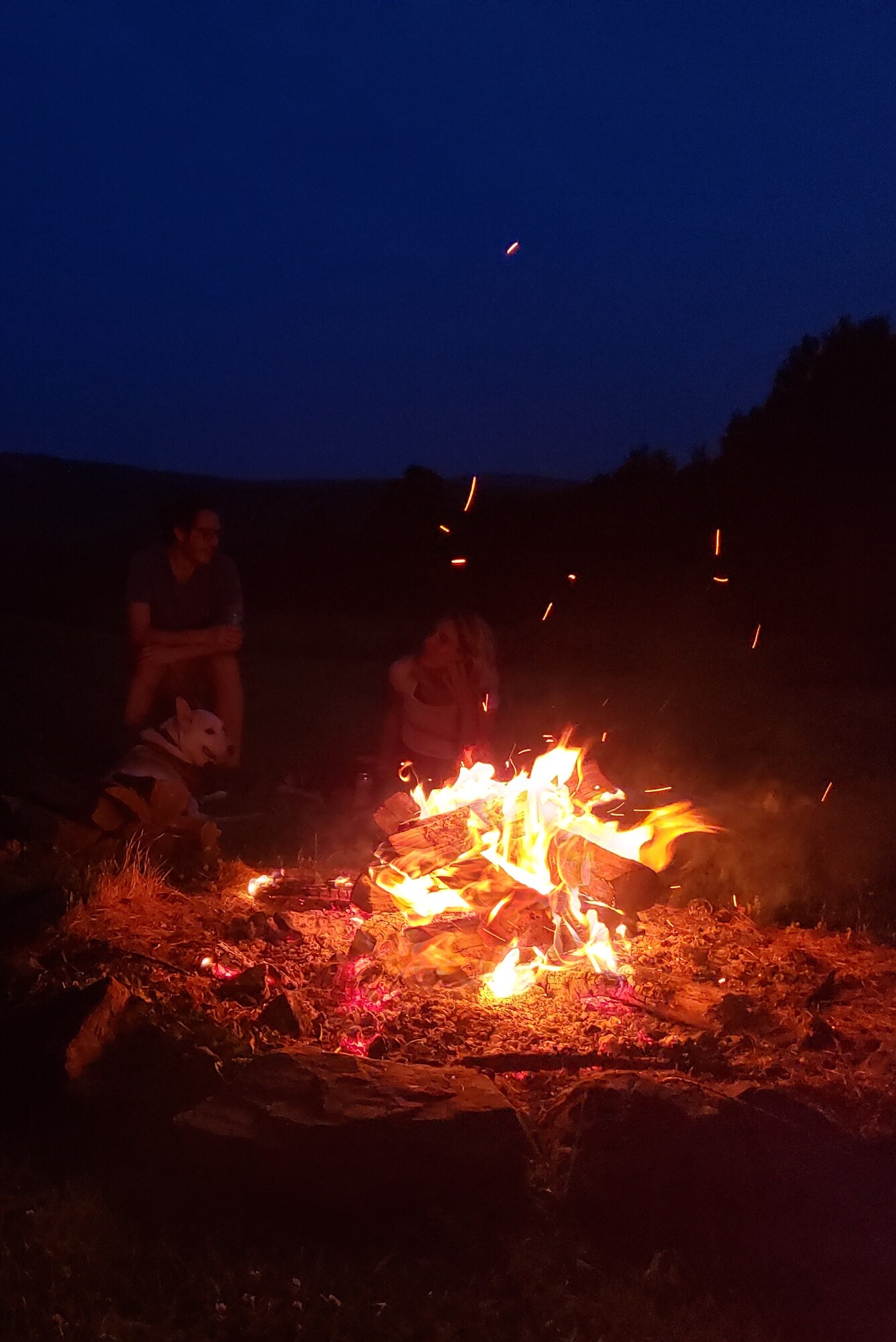 Family and their dog enjoying a campfire.