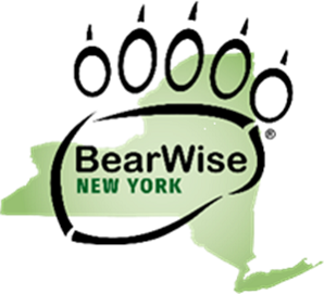 BearWise NY Logo