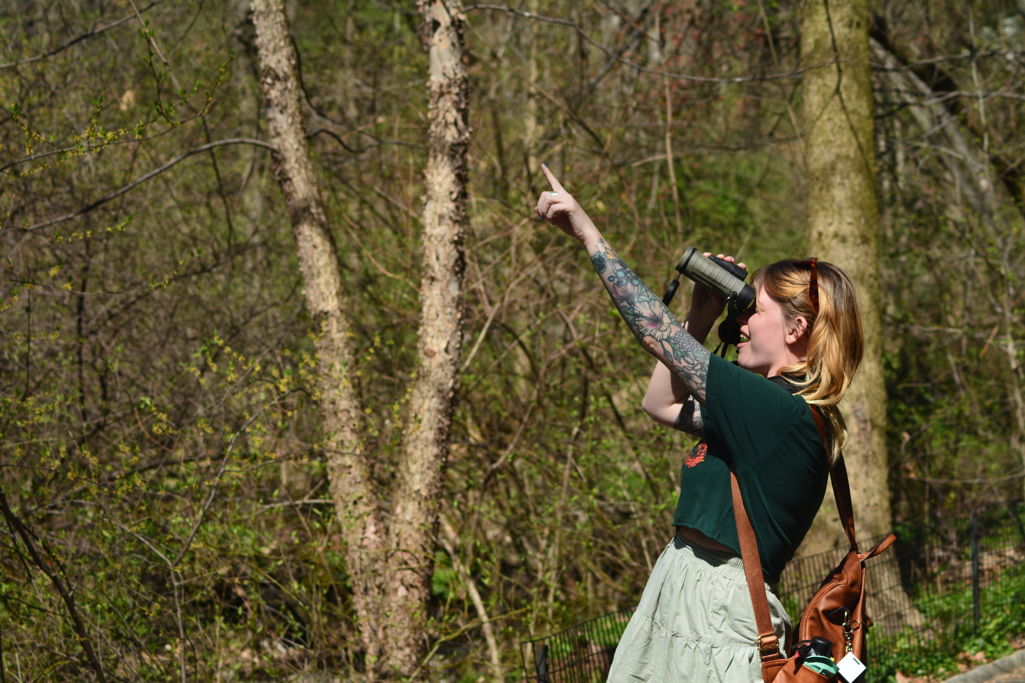 Woman birding with binoculars