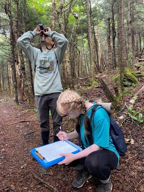 two fellows from SUNY New Paltz survey for montane birds in the Catskills