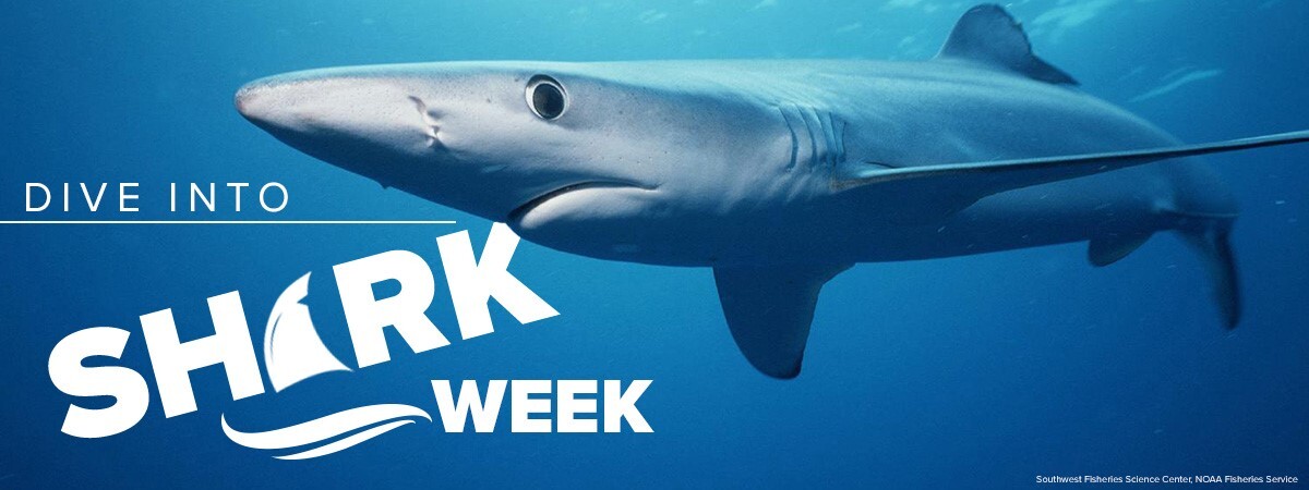 Shark Week