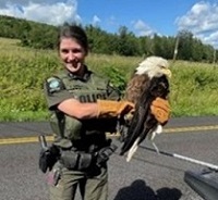 ECO with rescued bald eagle