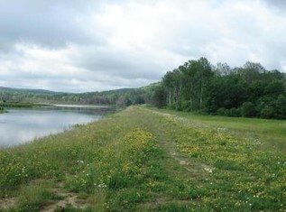Keeney Swamp Wildlife Management Area