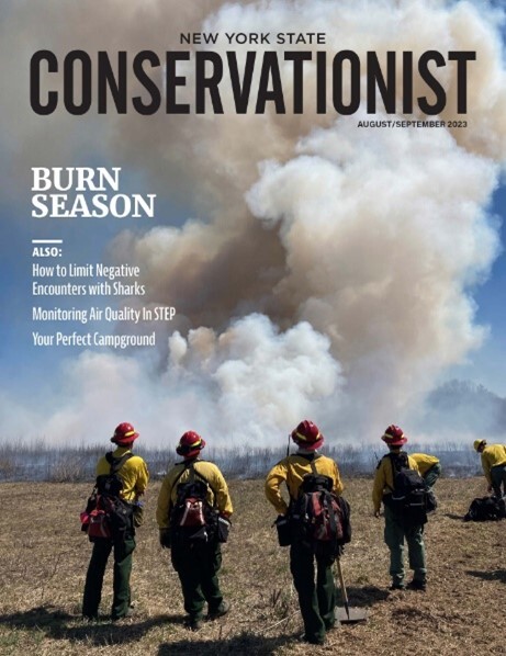 August/September 2023 Conservationist cover