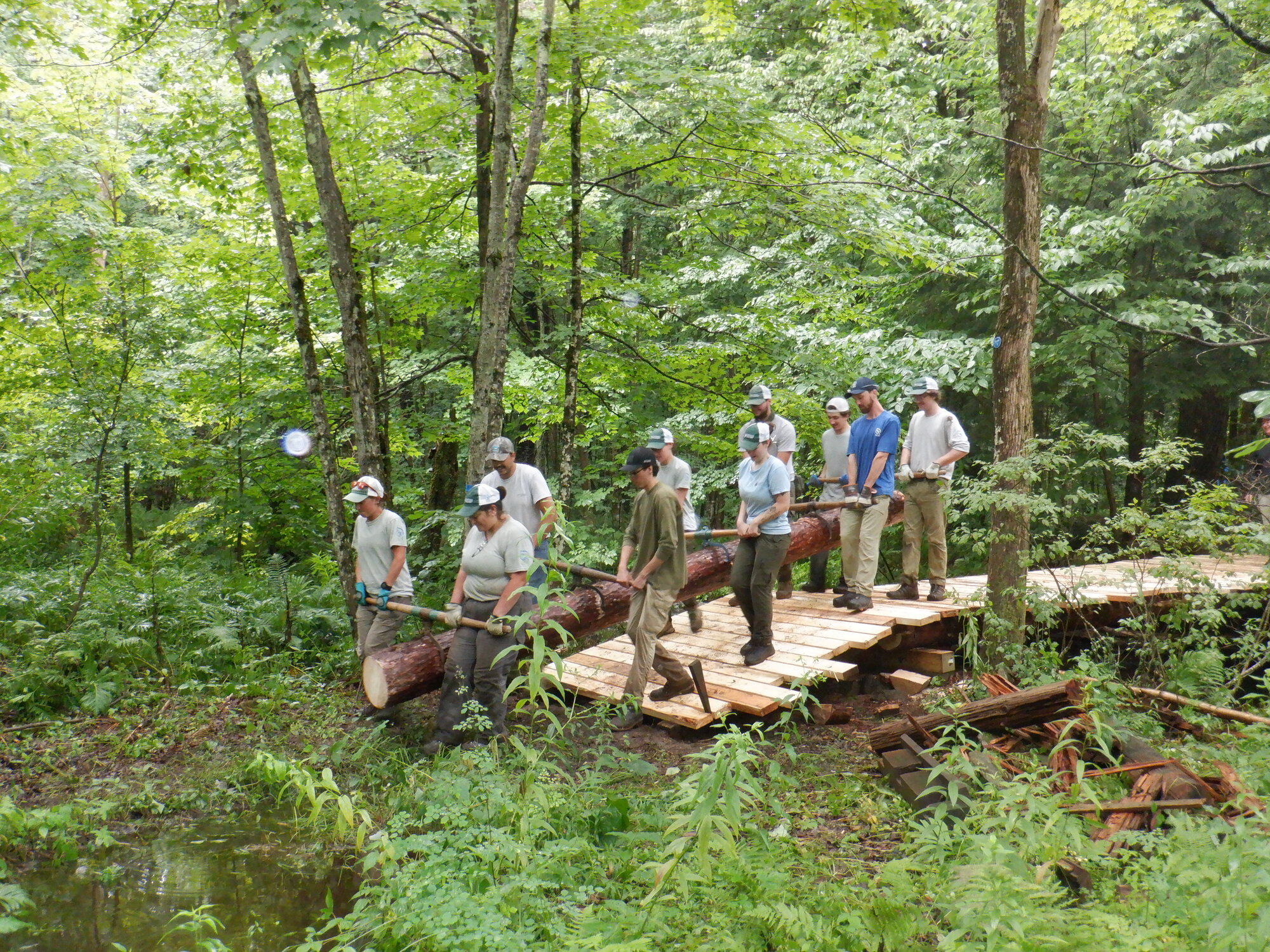 Chateaugay State Forest SCA