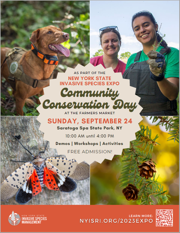 community conservation day flyer