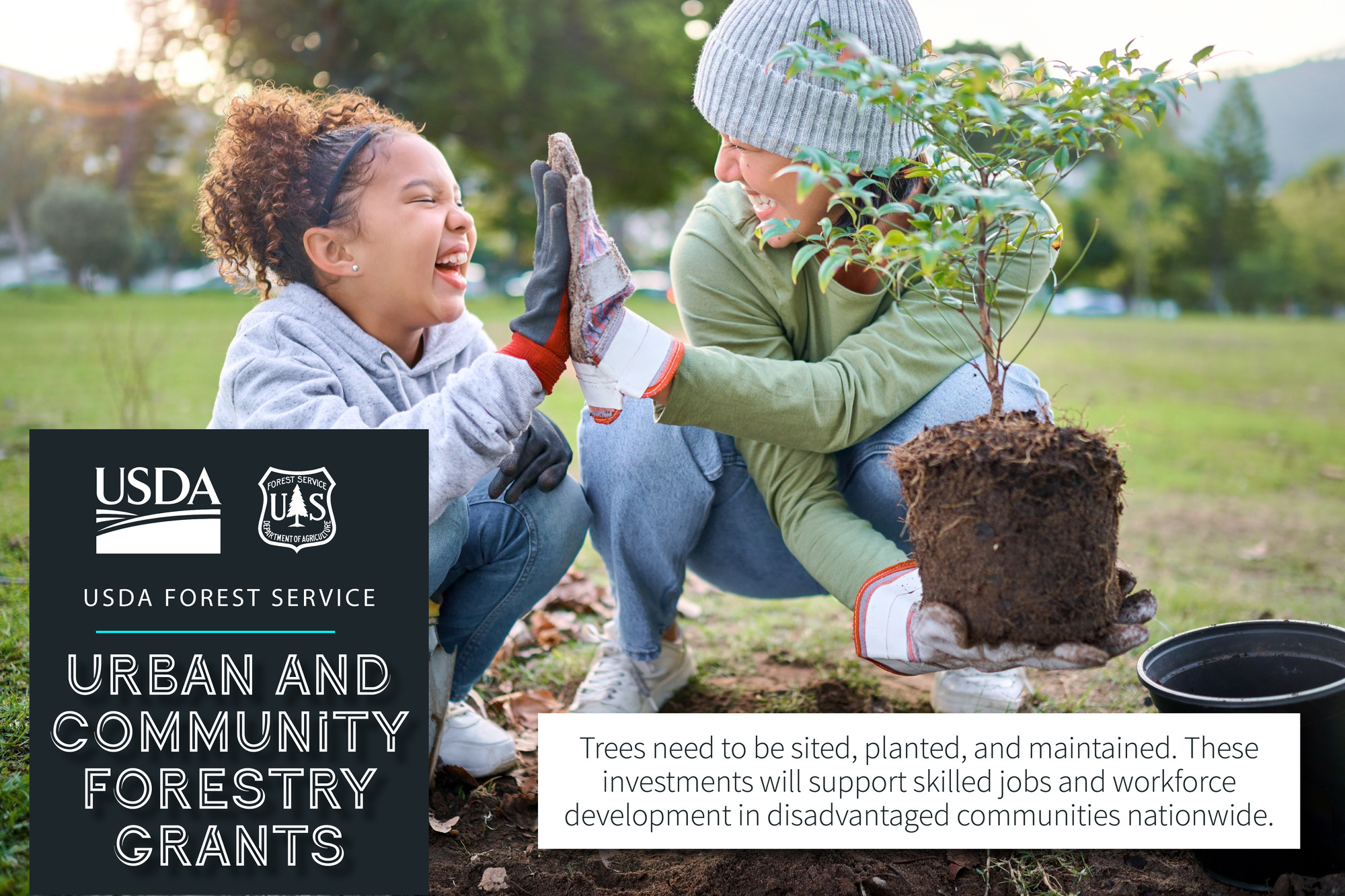 USDA Forest Service Urban and Community Forestry Grants