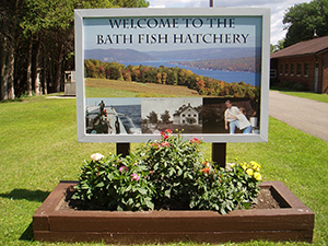 Bath Fish Hatchery