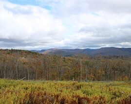Capital District Wildlife Management Area