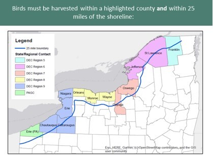 Map of where birds must be harvested