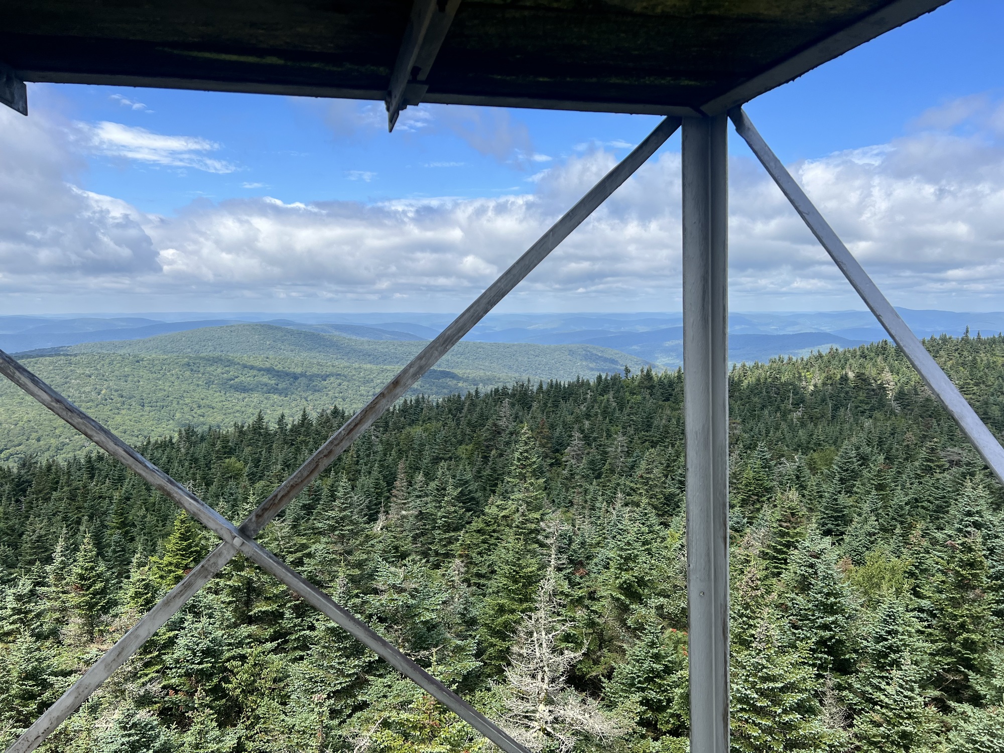 The view from the top of a fire tower in summer.