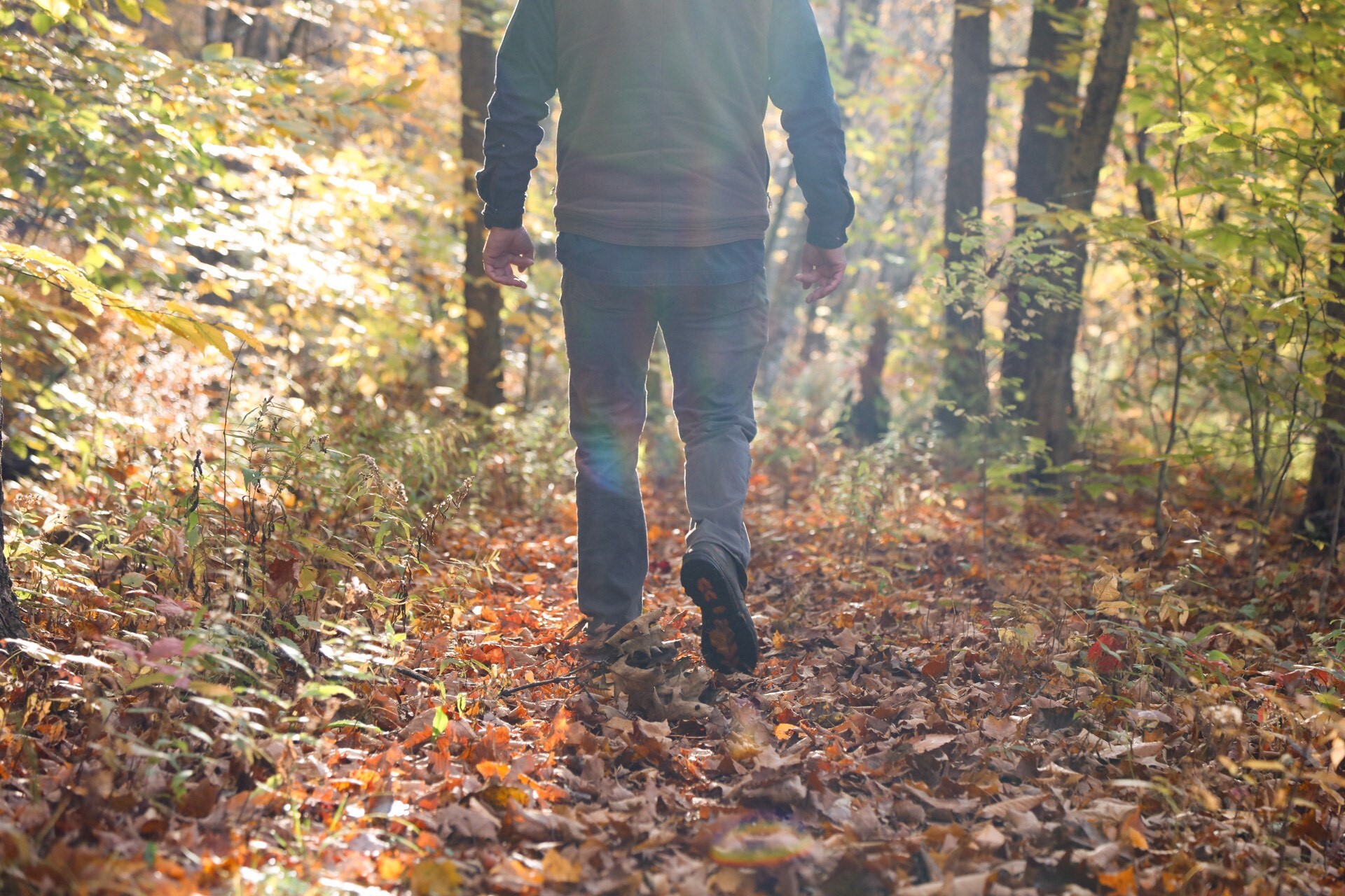 Catskills -- Southern  New York-New Jersey Trail Conference