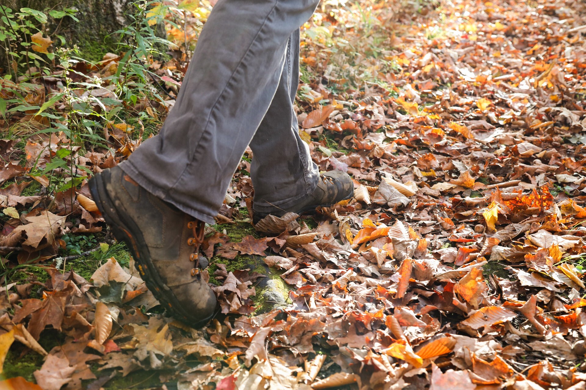 Fall Hiking