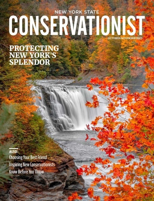 October/November 2023 Conservationist cover