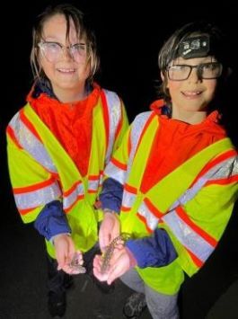 Two young girls in safety vests hold salamanders.