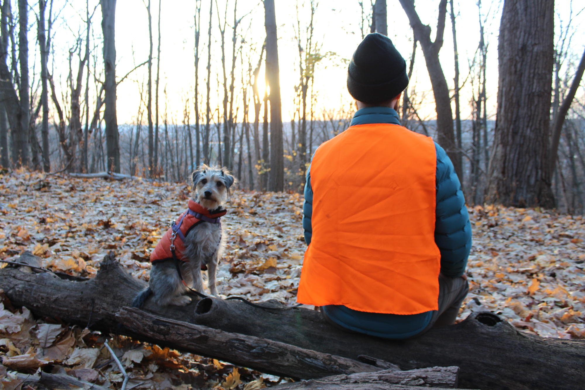 Hiker and dog wearing blaze orange vests and sitting on a log in the woods