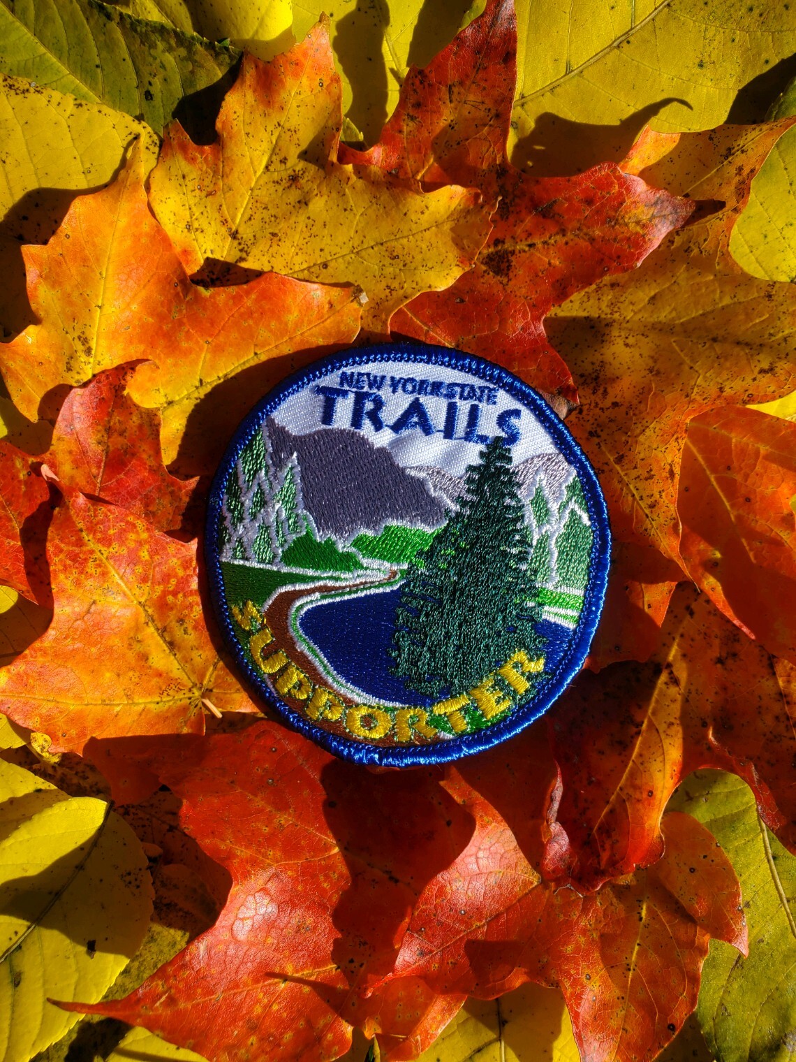 Legacy patch with mountains, water, and evergreen trees displayed on fall leaves