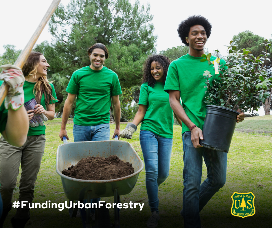 People in urban park pushing wheelbarrow of soil and carrying small tree to plant, courtesy of the USDA Forest Service