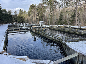 Holding ponds outside of Chateaugay Fish Hatchery.