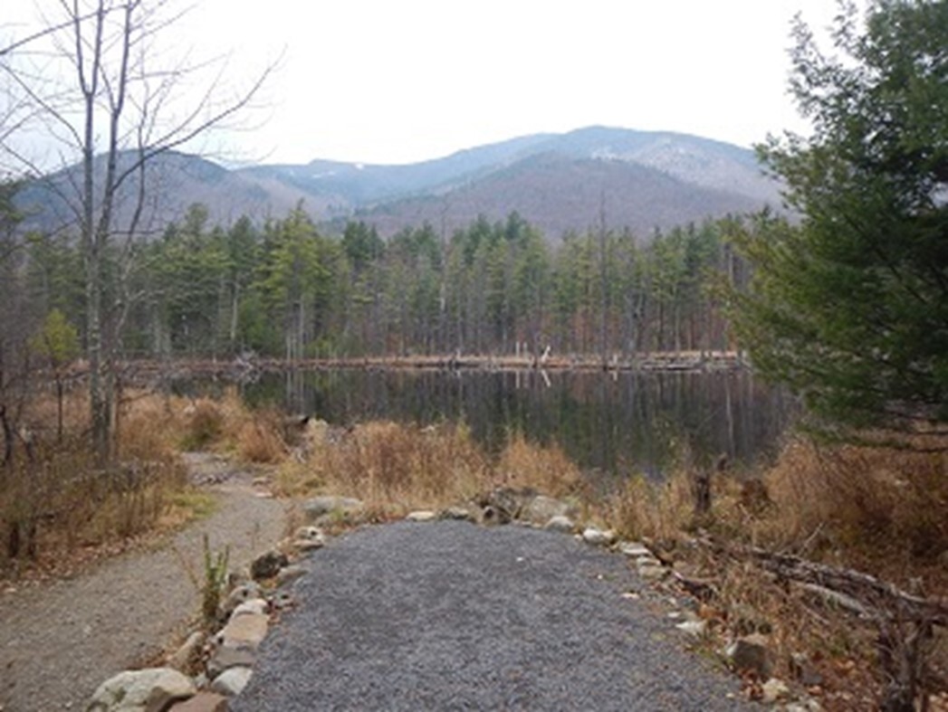 Accessible viewing pad with view of Beaver Pond