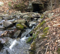 A stream flows freely under a bridge.