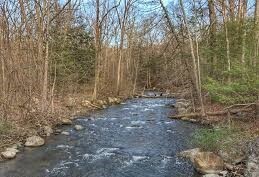 Peekskill Hollow Brook