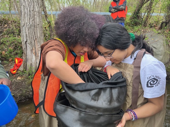 two students conducting a glass eel check