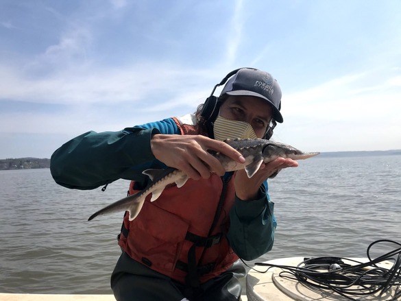 Person with headphones on and holding a sturgeon 