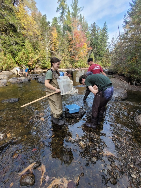 Students using nets for research in water