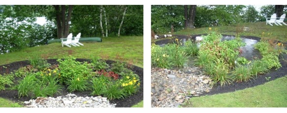 Rain Garden Before and After