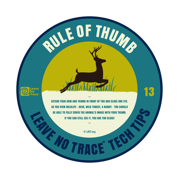 Rule of Thumb for Viewing Wildlife