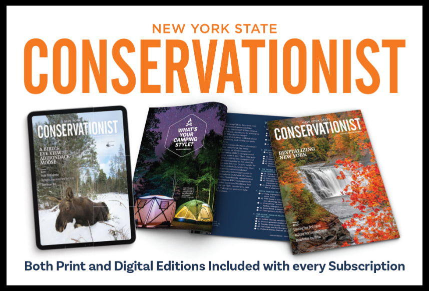 Conservationist graphic showing print and digital editions