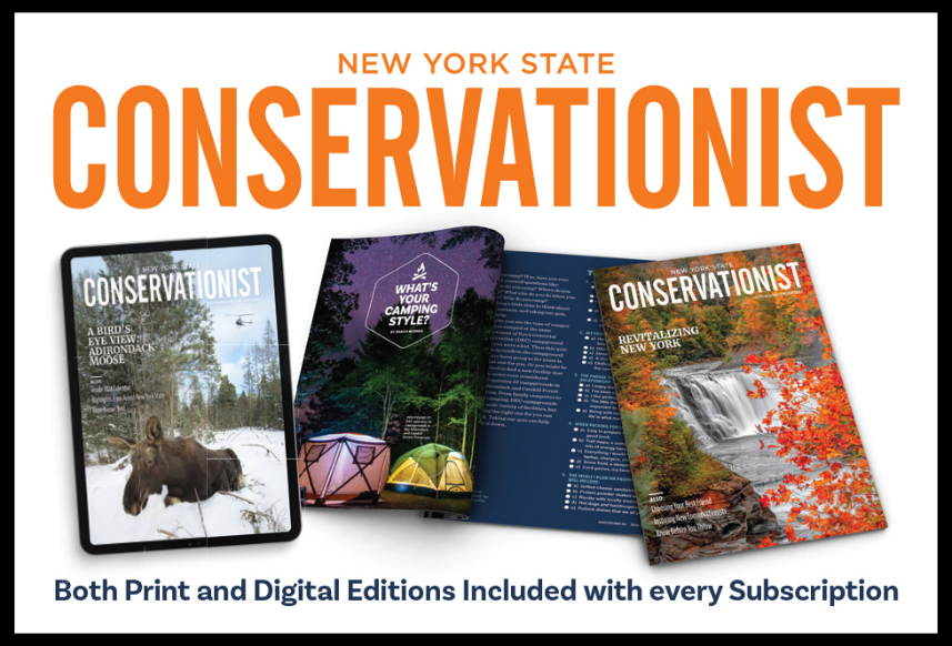 Conservationist promotional graphic