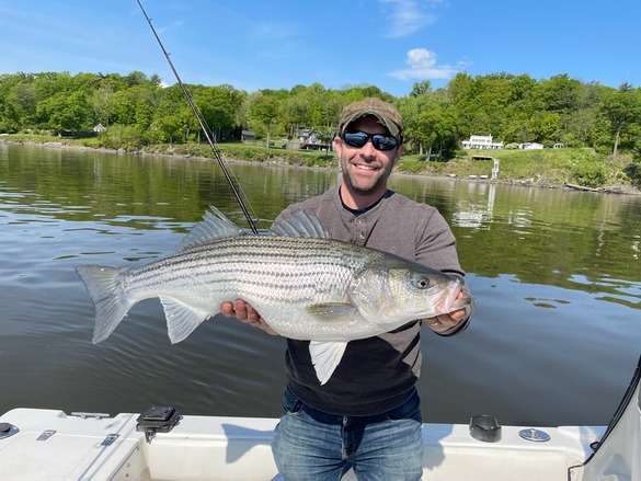A fisherman on a boat holding a striped bass while out on a lake.