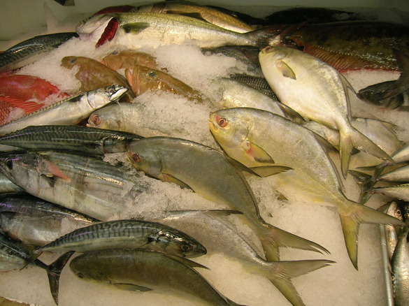 Fish on display at fish market
