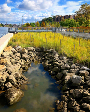 Roberto Clemente State Park natural area