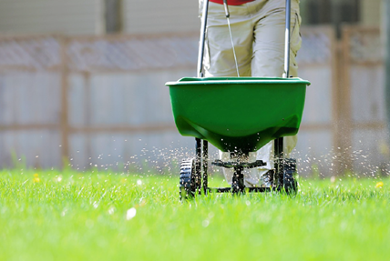 Fertilizer applicator on lawn