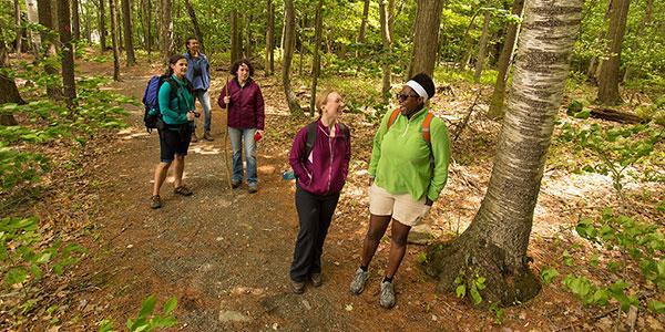 A group of people hiking in the woods