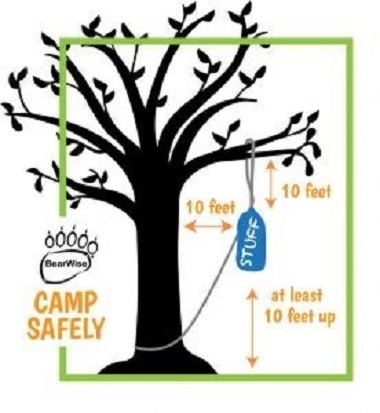 BearWise "Camp Safely" Graphic