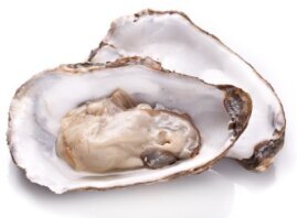 Oysters on a half shell
