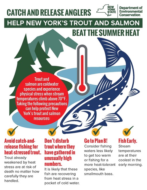 Flyer with catch and release fishing tips to prevent stress on trout during the summer