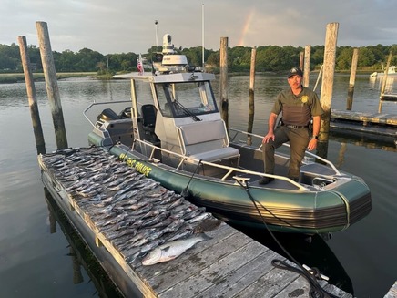 ECO Zullo with fish seized during black sea bass enforcement detail on Long Island Sound