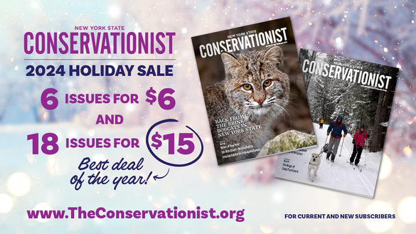 2024 Conservationist holiday sale graphic