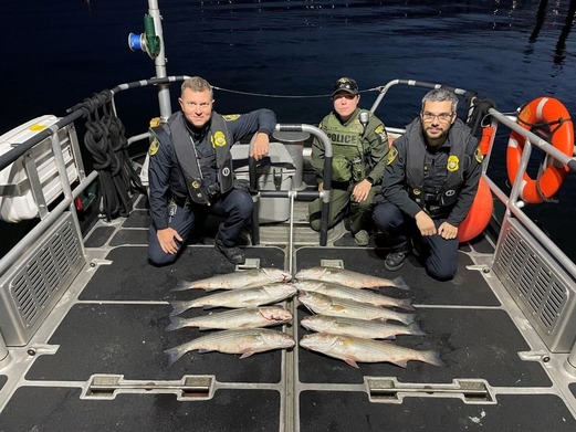 ECO Kortz with members of NOAA’s Office of Law Enforcement with nine illegally caught striped bass in Kings County