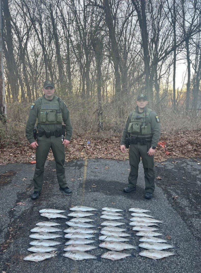 ECOs Farner and Clinger seize 35 illegally caught striped bass in Richmond County