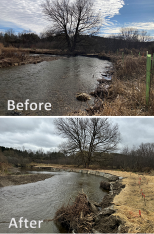 Before and after photos of bank stabilization on Wiscoy Creek